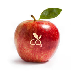 wizualizacja jabłka